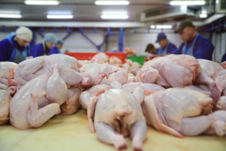 Ірак зняв обмеження з України щодо експорту продукції птахівництва