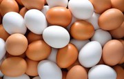 В Україні з початку року зросло виробництво яєць