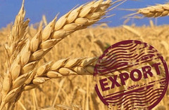 З України експортовано 43,6 млн тонн зерна