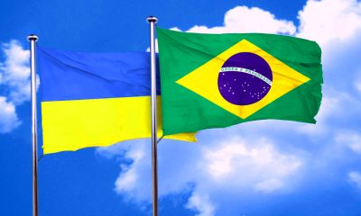 Погоджено сертифікати здоров’я для експорту декоративних птахів з України до Бразилії