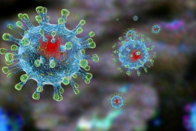 Держпродспоживслужба Прикарпаття продовжує протидіяти коронавірусу