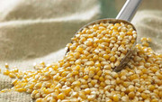 Україна у березні експортувала понад 2 млн тонн кукурудзи
