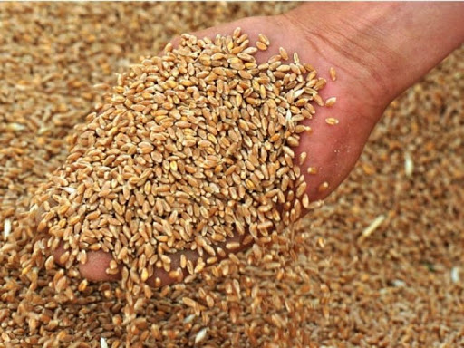 Наслідки обмеження експорту зерна були б катастрофічними для аграрного сектору -УЗА