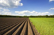 Правки Зеленського до земельного закону підтримані аграрним комітетом