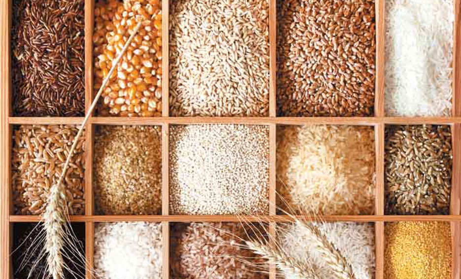 УЗА  оновила прогноз врожаю та експорту зерна в 2020/21 МР