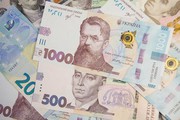 Завдяки держпітримці АПК ми залучимо 14,7 млрд інвестицій в економіку України, - Петрашко