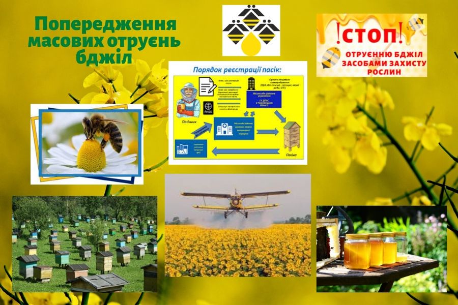 Держпродспоживслужба Чернігівщини наголошує на заходах для попередження масових отруєнь бджіл