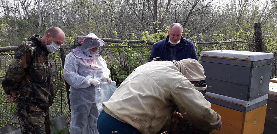 Питання загибелі бджіл від отрутохімікатів - на постійному контролі Держпродспоживслужби в Полтавщини