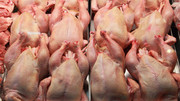 У світі збережеться підвищений попит на курятину, – USDA