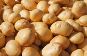 В Україні подорожчає картопля