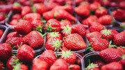 В Україні стартував сезон полуниці: скільки коштують ягоди