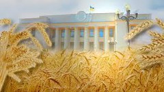 Аграрний комітет рекомендує ухвалити за основу законопроєкт про Держагрореєстр