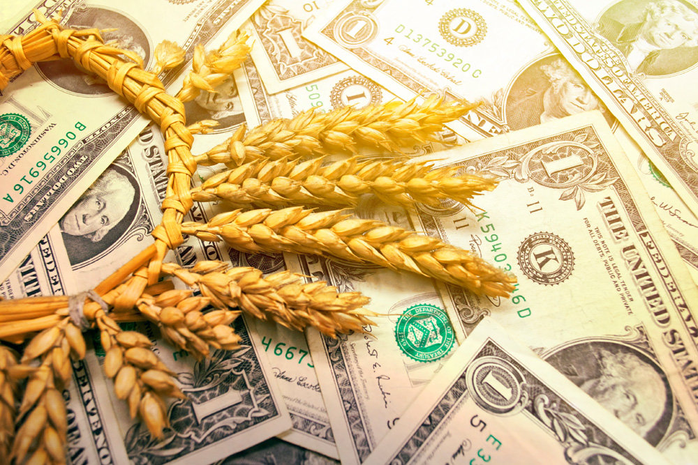 Україна експортуватиме пшеницю навіть після повної вибірки квоти на сезон-2019/20 – Висоцький