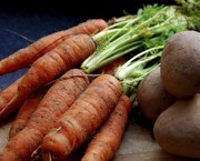 Рання морква і картопля суттєво подешевшали