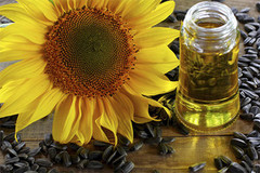 Україна нарощує експорт соняшникової олії