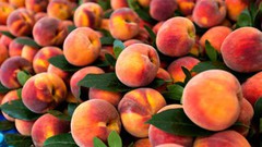 У Європі очікують менший урожай абрикосів, нектаринів та персиків та вищі ціни