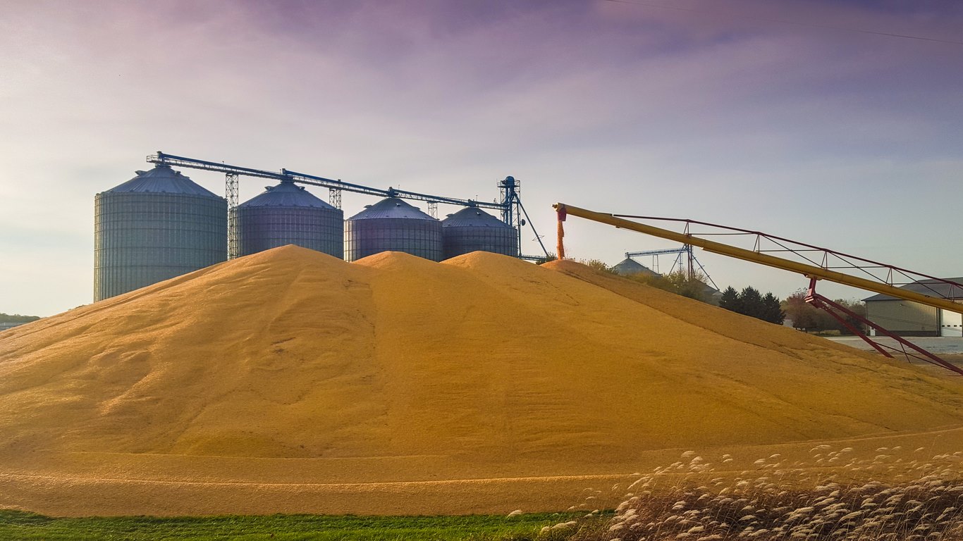 Єгипет на тендері закупило українську пшеницю у НІБУЛОН і LDC