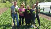 Колишні заробітчани успішно вирощують органічну зелень на рідній Тернопільщині