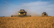 Жнива пшениці в США проведено на 30% площ