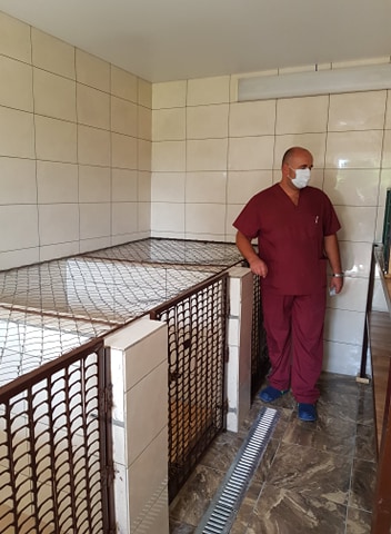 У Полтаві відкрилося відновлене приміщення для стерилізації і перетримки безпритульних тварин