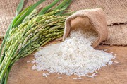На Херсонщині сільгоспвиробники скоротили посіви рису на 15%