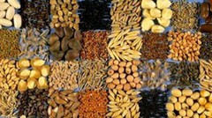 На зовнішніх ринках українське насіння зазнає цінової дискримінації