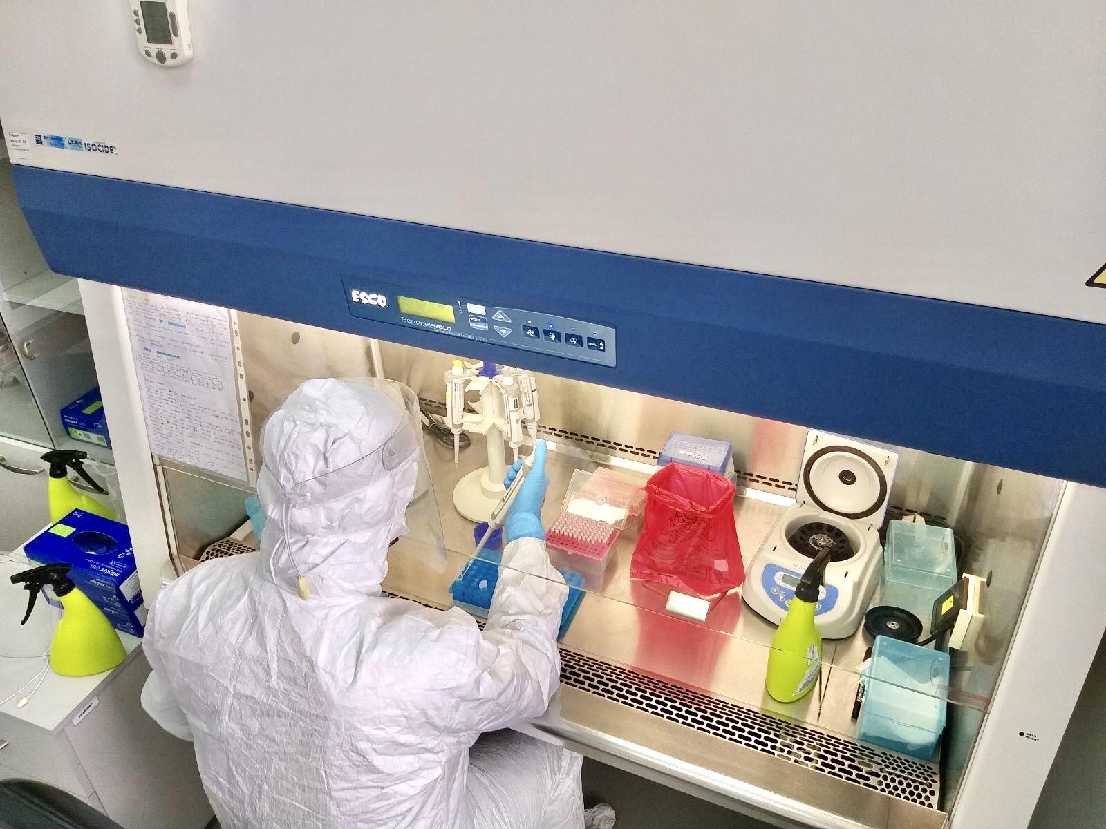 Лабораторія Держпродспоживслужби на Львівщині почала робити ПЛР-тести на коронавірус