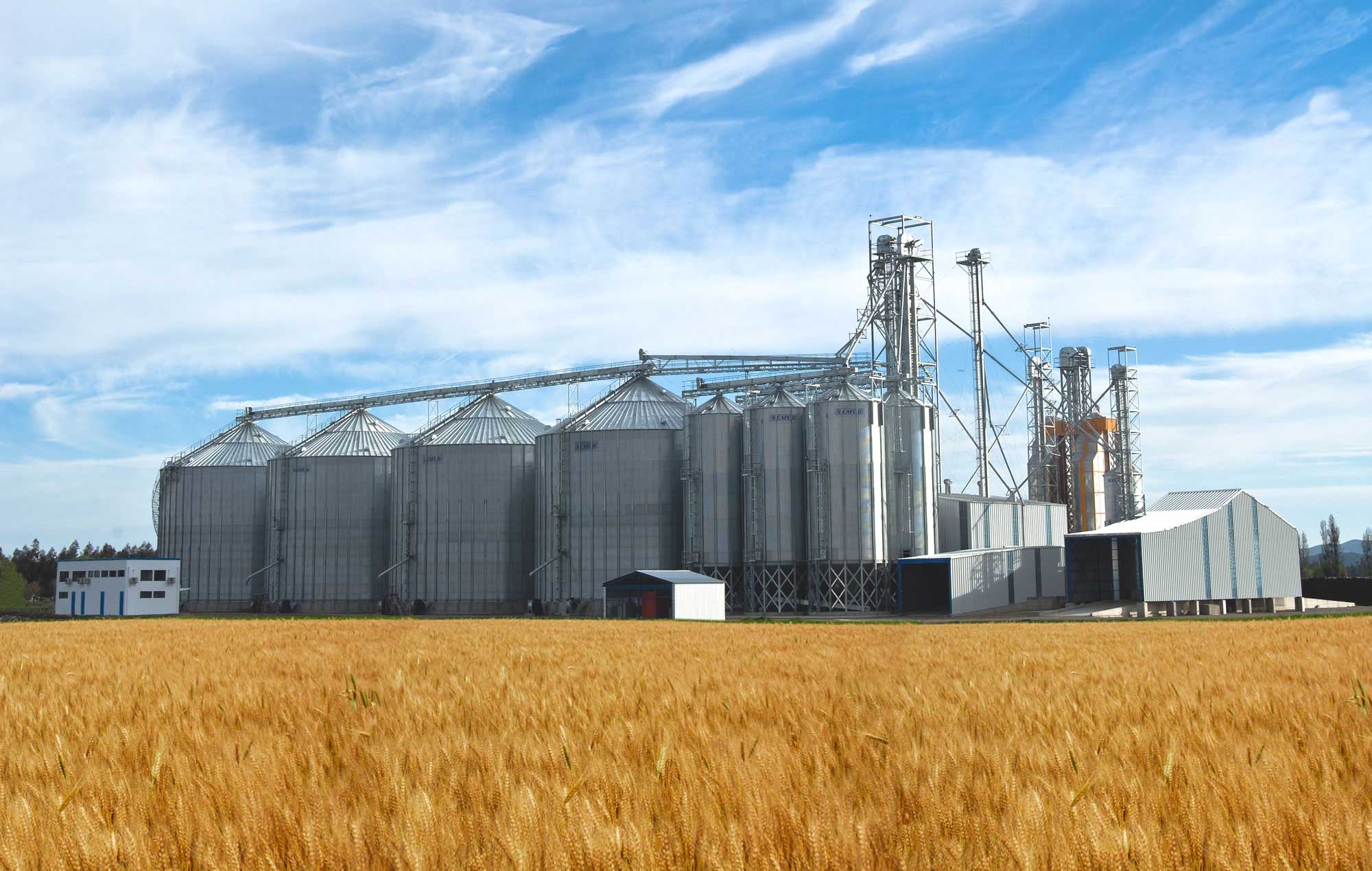 Україна посіла друге місце у світі за валютною виручкою від експорту зерна, — УЗА