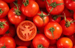 Україна з початку року імпортувала помідорів на понад $62 млн