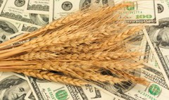 Україна встановила новий рекорд експорту зернових