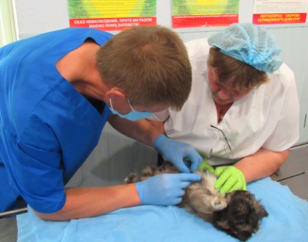 Державна лікарня ветеринарної медицини в Кропивницькому районі розширює свої можливості