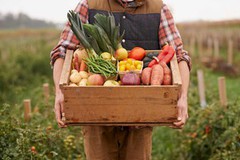 Ягоди, картопля, хміль: в Україні назвали найрентабельніші продукти у фермерських господарствах