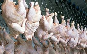 В ЕС зафиксировано незначительное снижение производства мяса, за исключением свинины