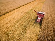 В США залишилось зібрати 25% озимої пшениці