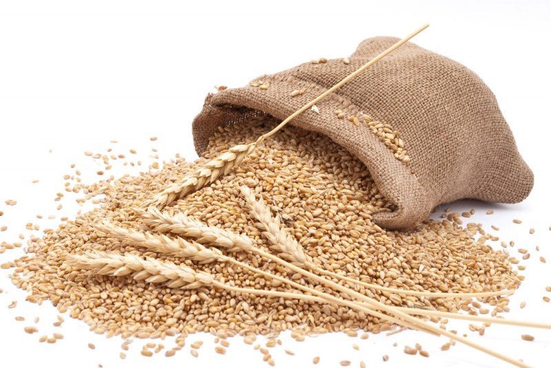 Світове виробництво пшениці в 2020/21 МР збережеться на рівні попереднього сезону-IGC