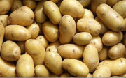 В Україні на 25% подешевшала картопля