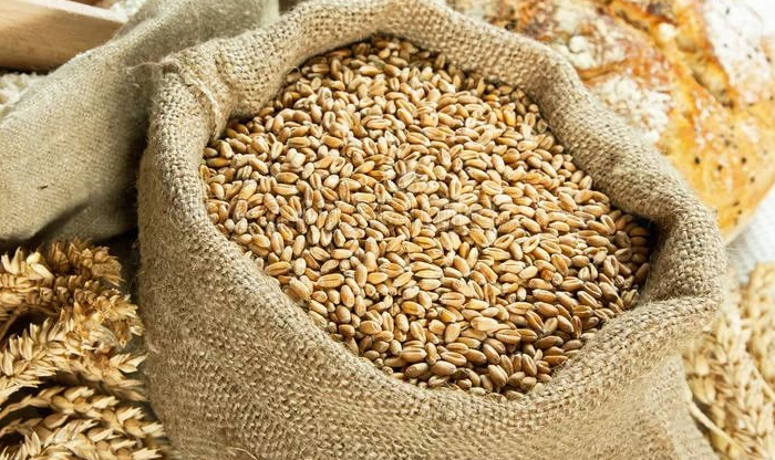 Експорт українського зерна перевищив 1 млн тонн