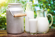 Україна на чверть зменшила експорт молочної продукції
