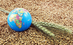 Україна відправила на експорт 2,52 млн тонн зерна