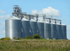 Елеватори ДПЗКУ прийняли на зберігання понад 200 тис. тонн зерна