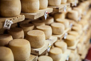 Вітчизняні виробники сиру віддали третину ринку європейським конкурентам