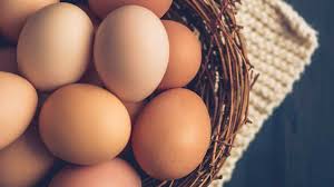Агропредприятия Украины продолжают сокращать производство яиц