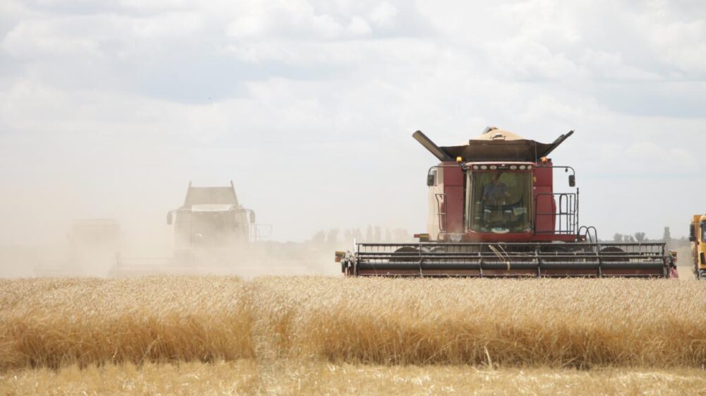 Мінекономіки та учасники зернового ринку погодили граничні обсяги експорту пшениці на 2020/21 МР