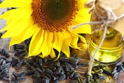 В Україні названо, чому зростають ціни на соняшникову олію