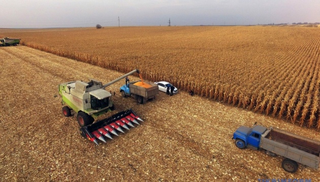 В Україні вже зібрали 41,2 млн т врожаю зернових та олійних культур