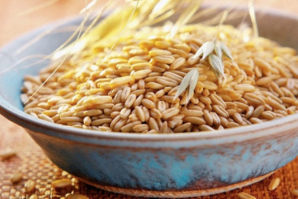 Нацбанк України зберігає прогноз врожаю зернових у 2020 році на рівні 72 млн тонн