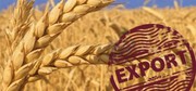 Україна експортувала понад 8 млн т зернових та зернобобових культур з початку сезону
