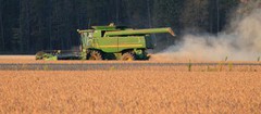 Agrofusion має намір збільшити площі під бобовими у два рази