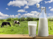В Україні на початку осені зросла вартість сирого молока