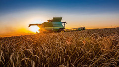Аграріям знизили ПДВ на продаж продукції: список товарів